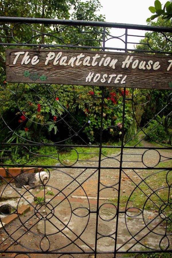 The Plantation House Travellers Hostel Salento Eksteriør billede