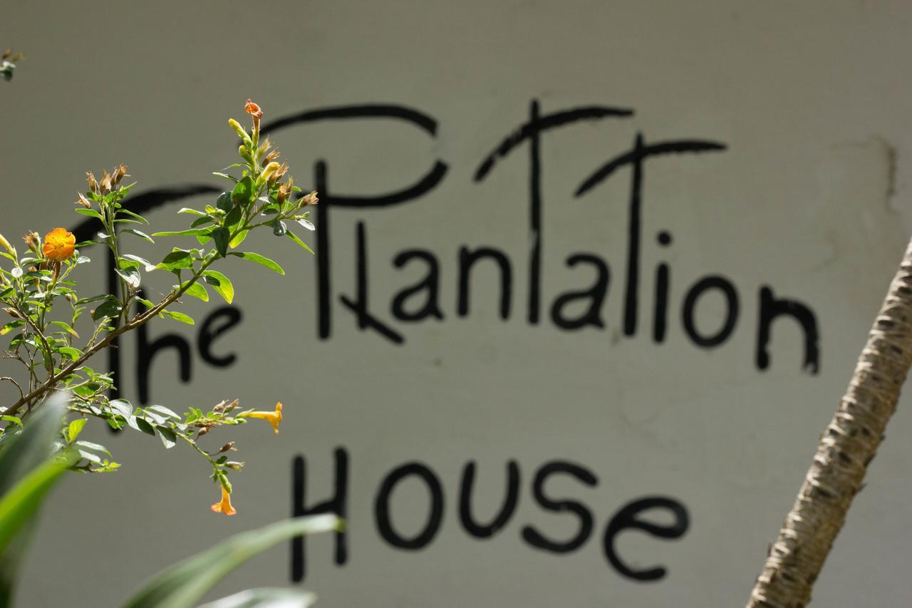 The Plantation House Travellers Hostel Salento Eksteriør billede