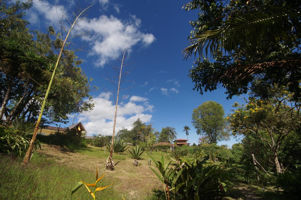 The Plantation House Travellers Hostel Salento Eksteriør billede